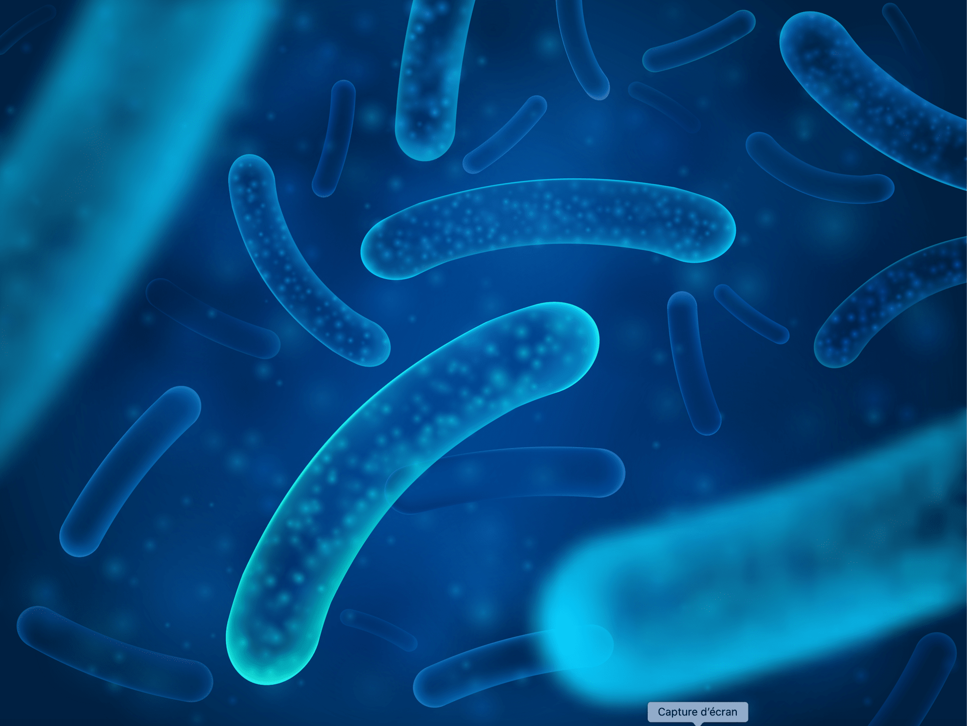 Découvrez les articles scientifiques liés au microbiote intestinal.