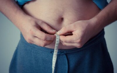 Un microbiote déséquilibré est-il la cause de l’obésité ?