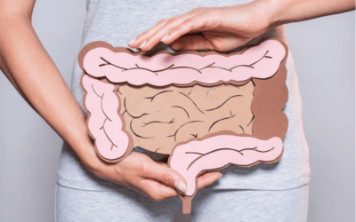 Qu’est-ce que le microbiote intestinal ?