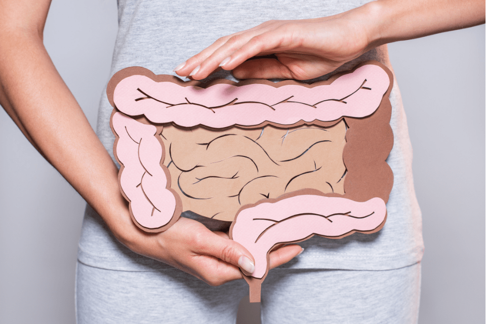 Qu’est-ce que le microbiote intestinal ?