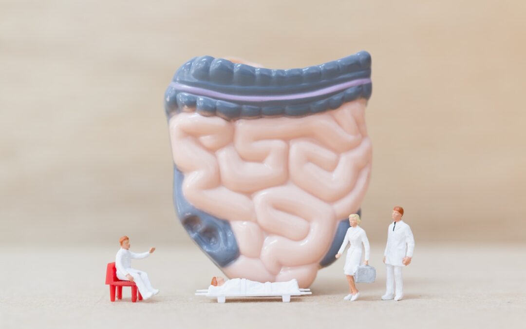 Comprendre-lien-Microbiote–immunite