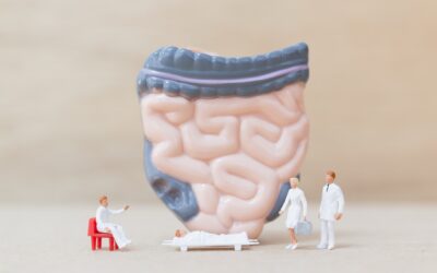 Comment le Microbiote et l&rsquo;Immunité Forgent Votre Santé