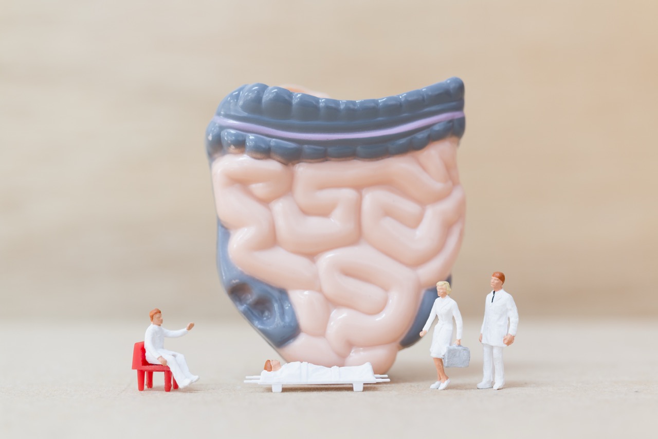 Comment le Microbiote et l’Immunité Forgent Votre Santé