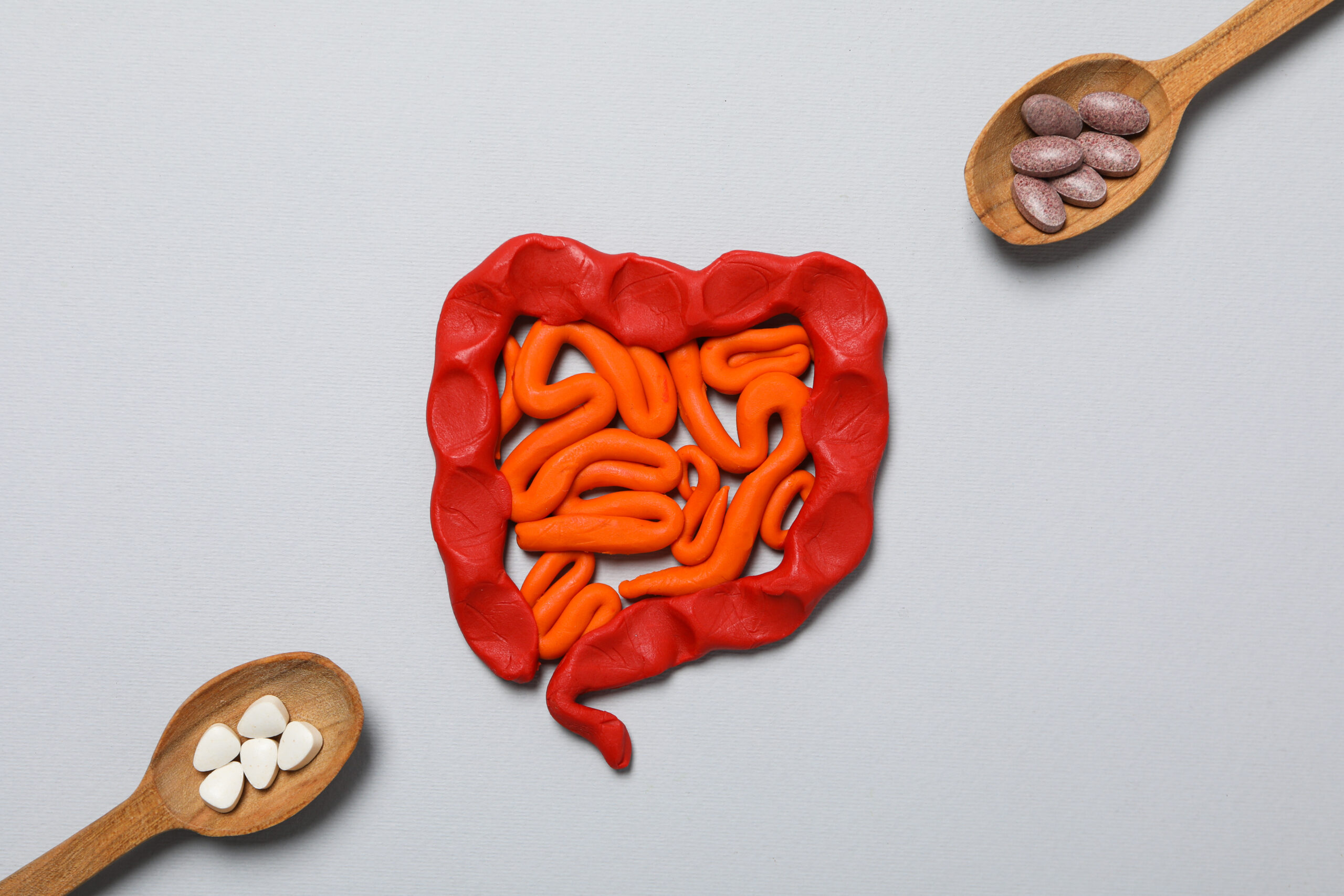 microbiote-intestinal-probiotique