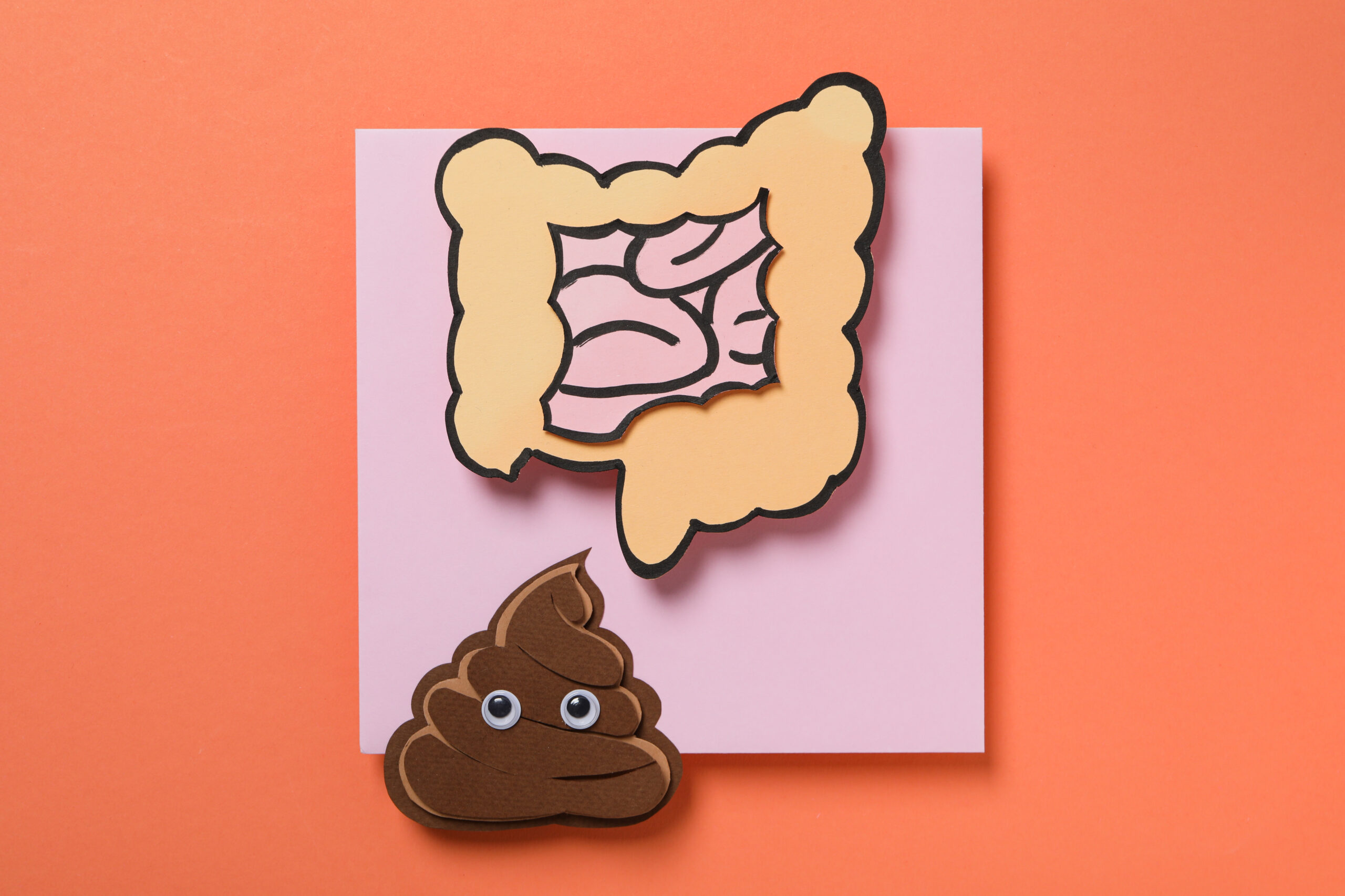 Ce qu’il faut faire (et éviter) avant le test du microbiote intestinal