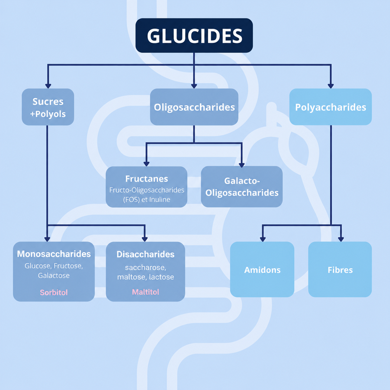 FODMAP